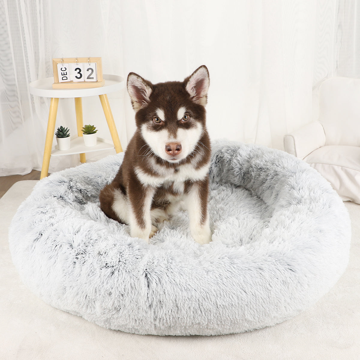 30 inch clearance round dog bed