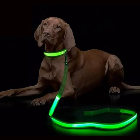 MYPETSLIFE LED Hundeleine